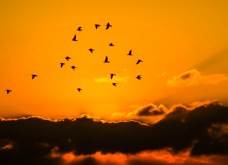 Crenças limitantes: Elas fazem parte de você?