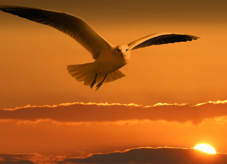 Seu Autoconceito tem Grande Valor para o Mundo