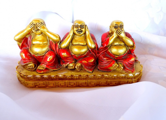 Vantagens e desvantagens sobre aceitar um conselho