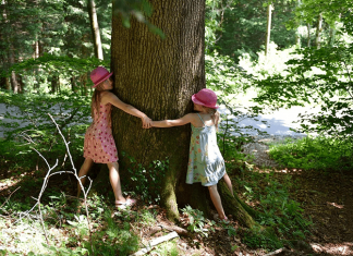 Cientistas comprovam: Abraçar uma árvore faz bem à saúde!