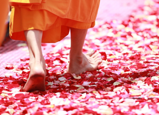 Você está comprometido(a) em promover o Bem?