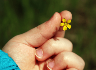 Quanto da generosidade que você dedica aos outros é oferecida a você mesmo?