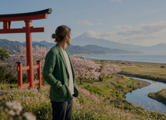 Ikigai: O Guia Definitivo para Encontrar seu Propósito em 2026